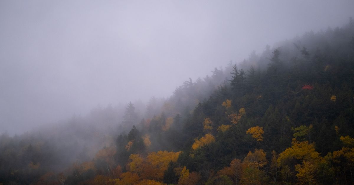 A scenic view of a misty autumn forest with vibrant fall colors in Vermont, USA.