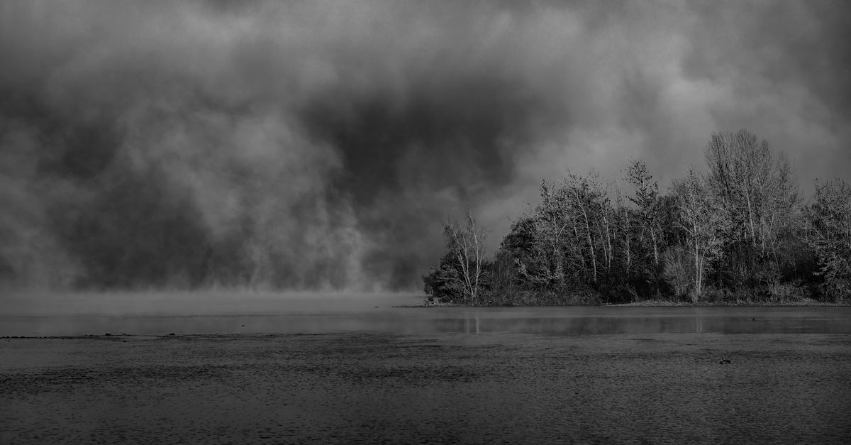 Captivating black and white lake scene with dramatic clouds and trees.
